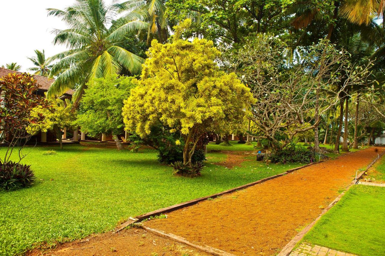 Yoho Rivi Ras Hotel Dehiwala-Mount Lavinia Kültér fotó